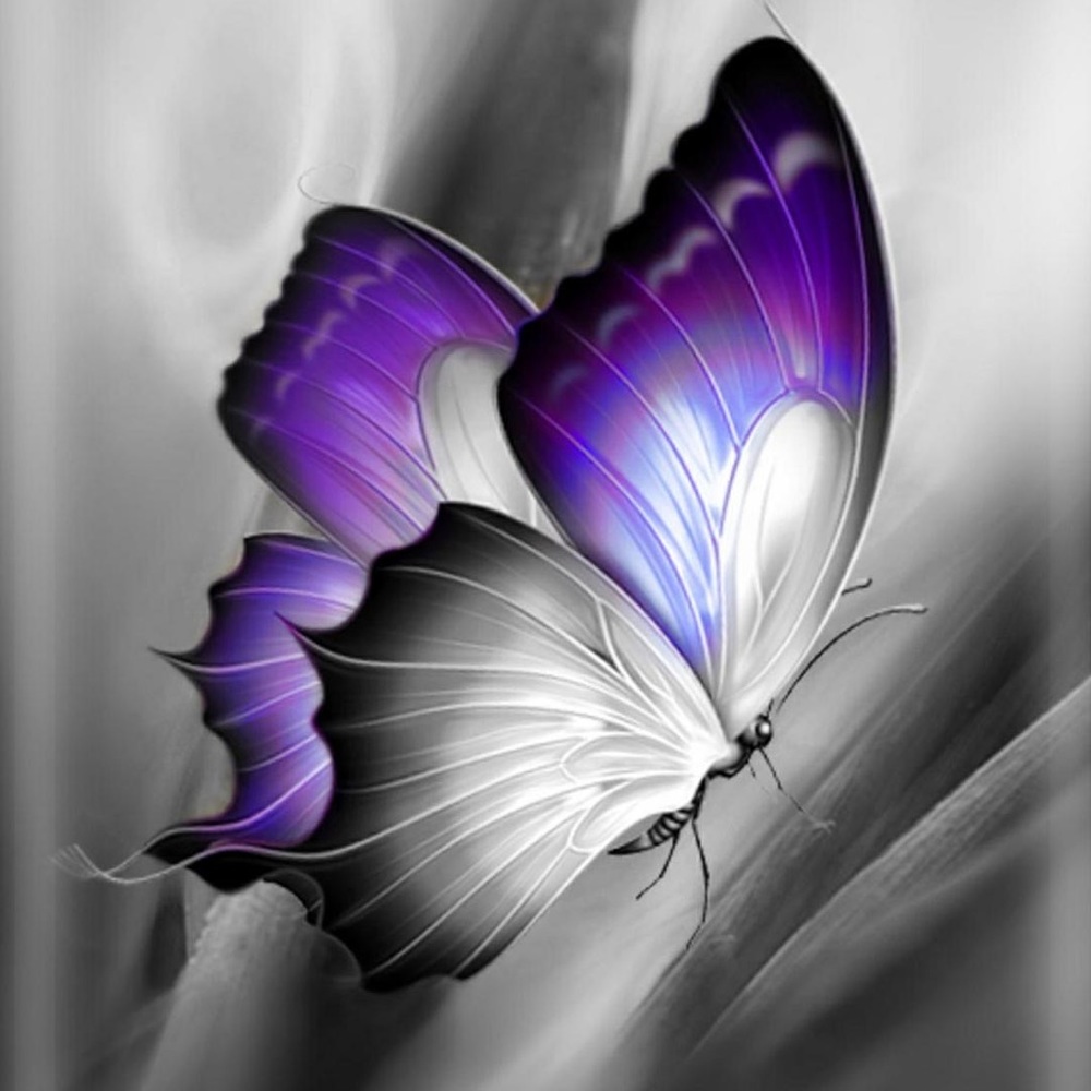 Meet your Posher, Netzi